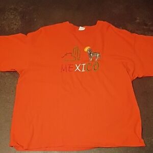Orange Graphic Tee